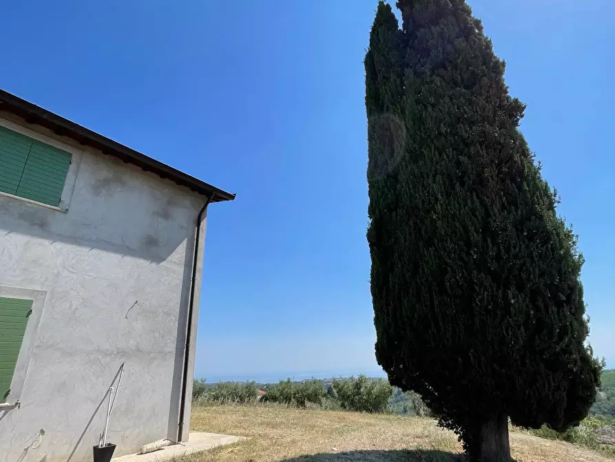 Immagine 4 di Rustico / casale in vendita  in Quercia Ferrata a Ripatransone