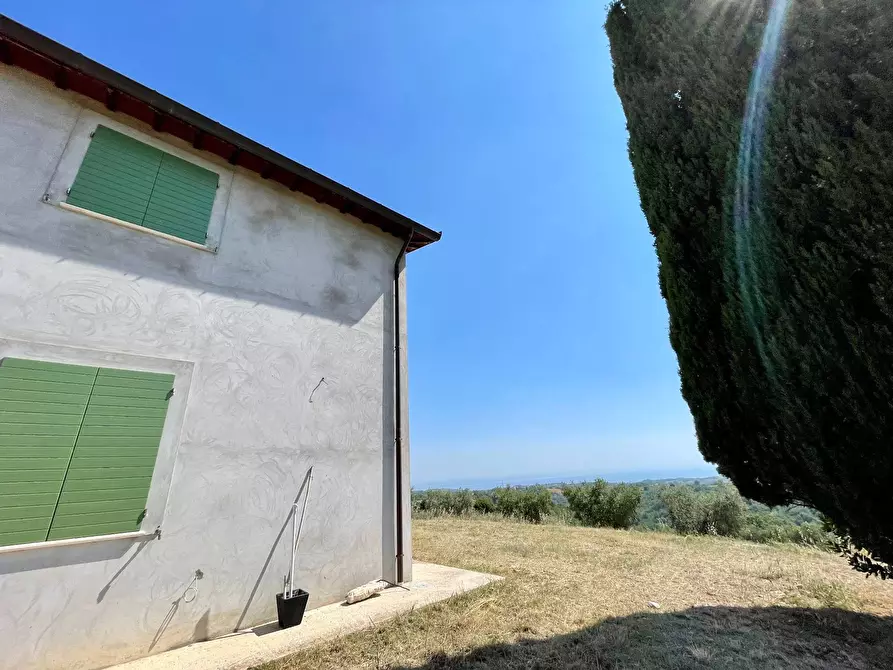 Immagine 3 di Rustico / casale in vendita  in Quercia Ferrata a Ripatransone