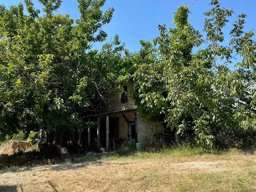 Immagine 7 di Rustico / casale in vendita  in Quercia Ferrata a Ripatransone