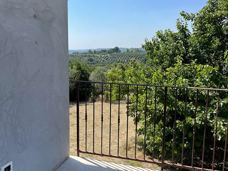 Immagine 5 di Rustico / casale in vendita  in Quercia Ferrata a Ripatransone