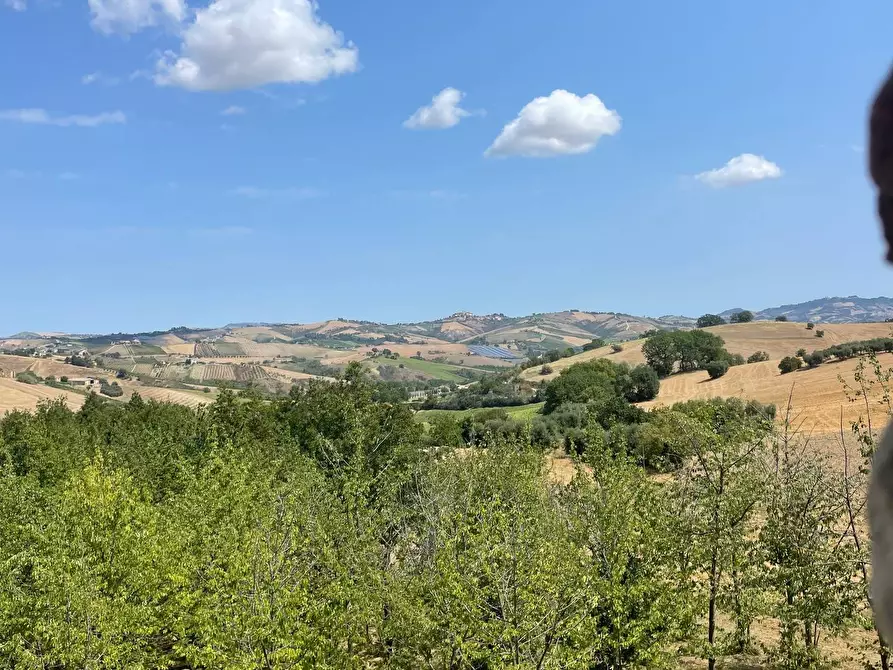 Immagine 2 di Rustico / casale in vendita  a Castignano