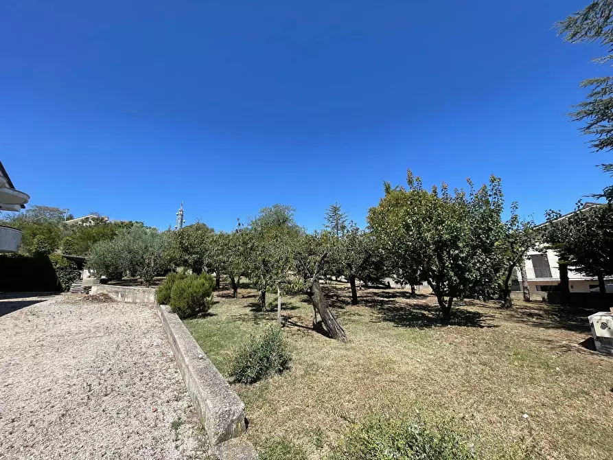 Immagine 9 di Casa indipendente in vendita  in seminario fermo a Fermo