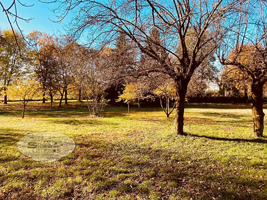 Immagine 6 di Casa indipendente in vendita  in viale Sant'Ambrogio a Formigine