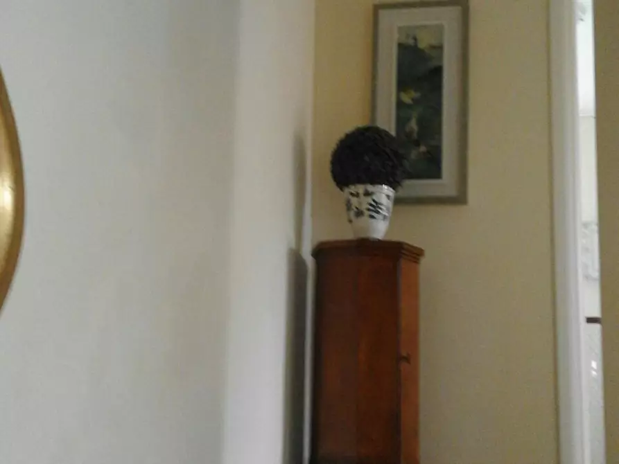 Immagine 3 di Casa semindipendente in affitto  a Empoli