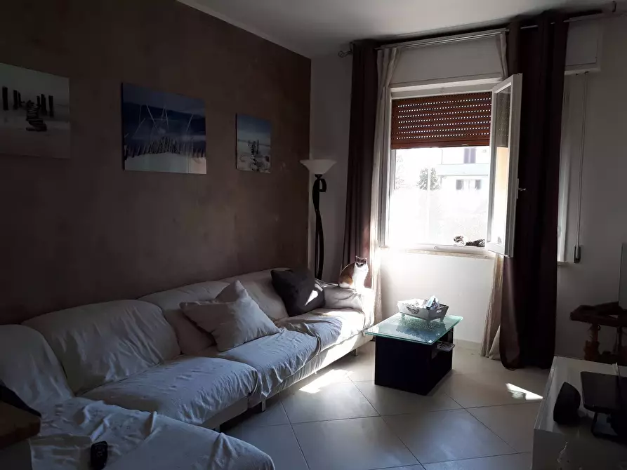 Immagine 2 di Appartamento in affitto  a Empoli