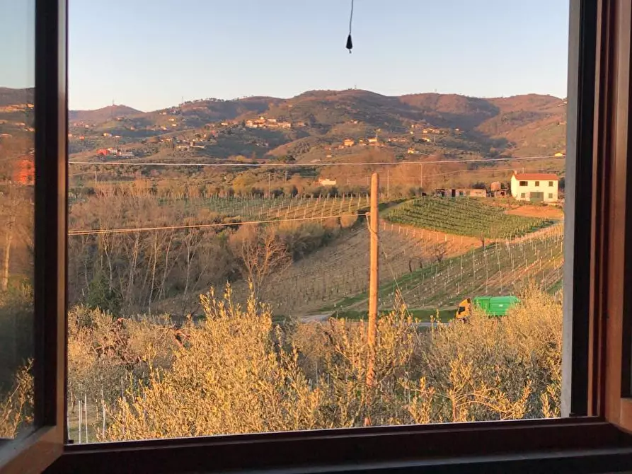 Immagine 9 di Appartamento in affitto  a Vinci