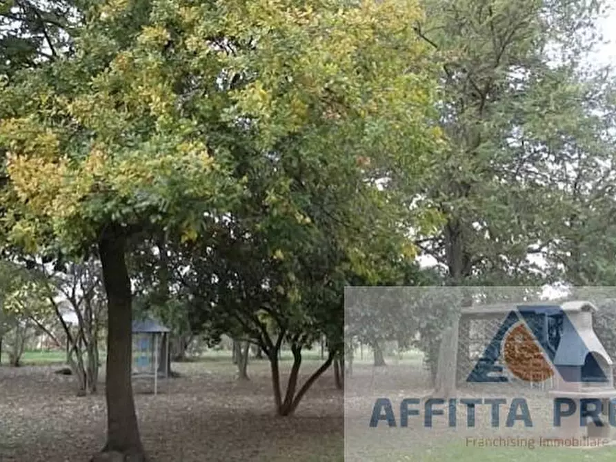 Immagine 5 di Appartamento in affitto  a Castelfranco Di Sotto