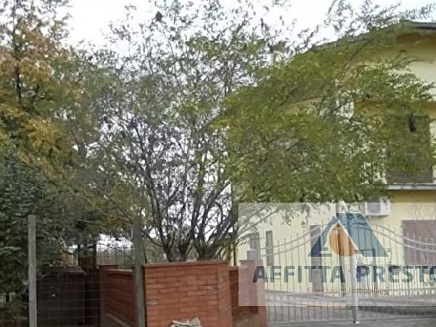 Immagine 3 di Appartamento in affitto  a Castelfranco Di Sotto