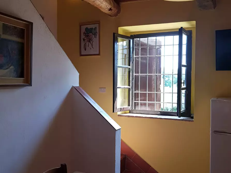 Immagine 7 di Appartamento in affitto  a Montespertoli