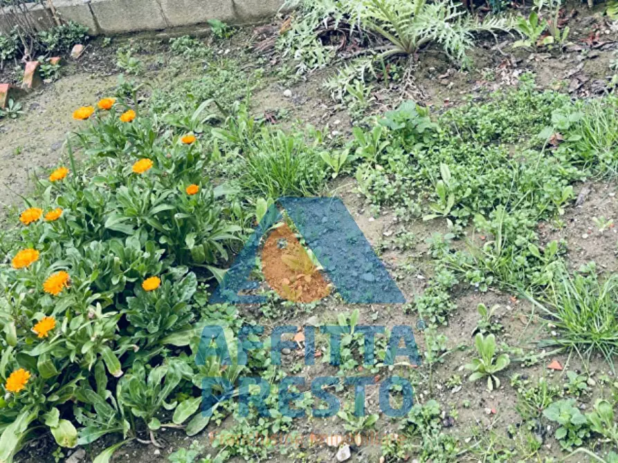 Immagine 10 di Appartamento in affitto  a San Miniato