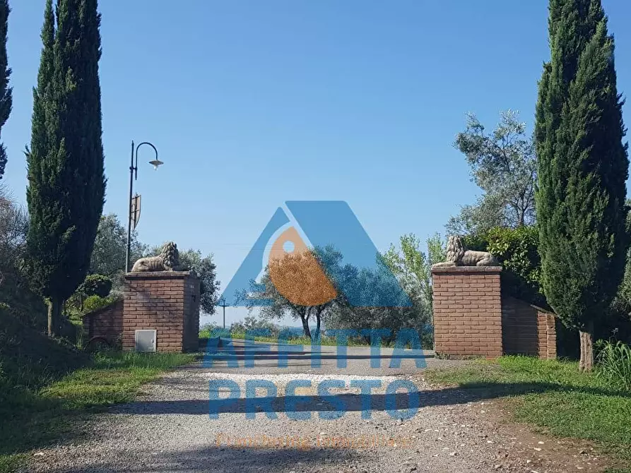 Immagine 8 di Residence in affitto  a Capraia E Limite