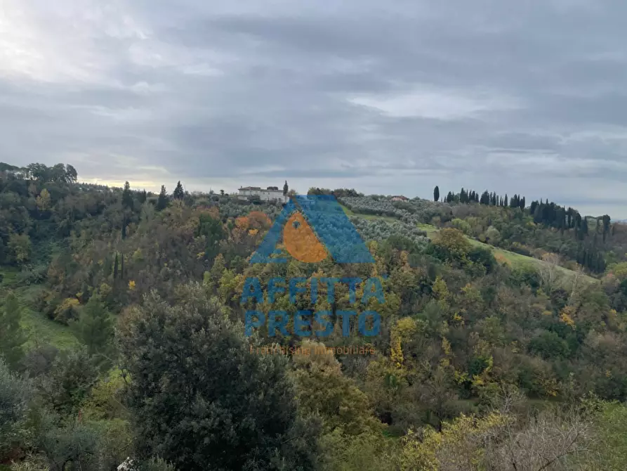 Immagine 6 di Appartamento in vendita  a San Miniato
