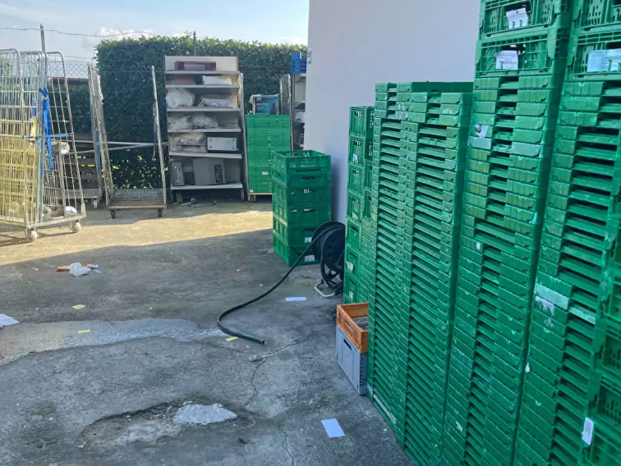 Immagine 4 di Attività commerciale in affitto  a Cerreto Guidi