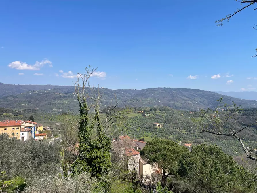 Immagine 14 di Appartamento in affitto  a Montecatini Terme