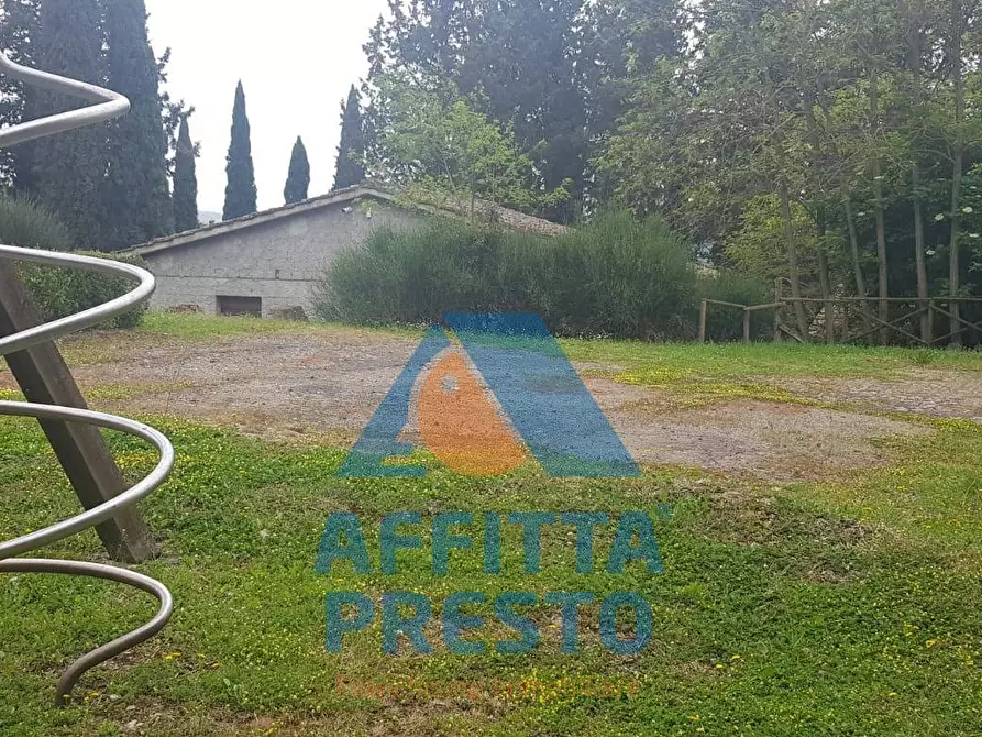 Immagine 7 di Appartamento in affitto  a Montespertoli