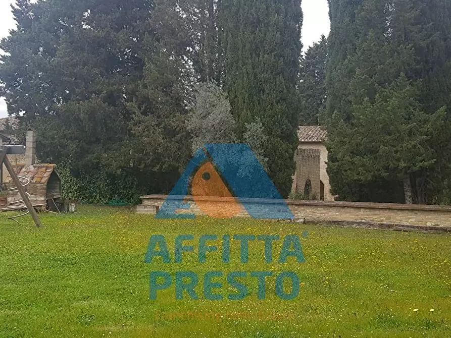 Immagine 9 di Appartamento in affitto  a Montespertoli