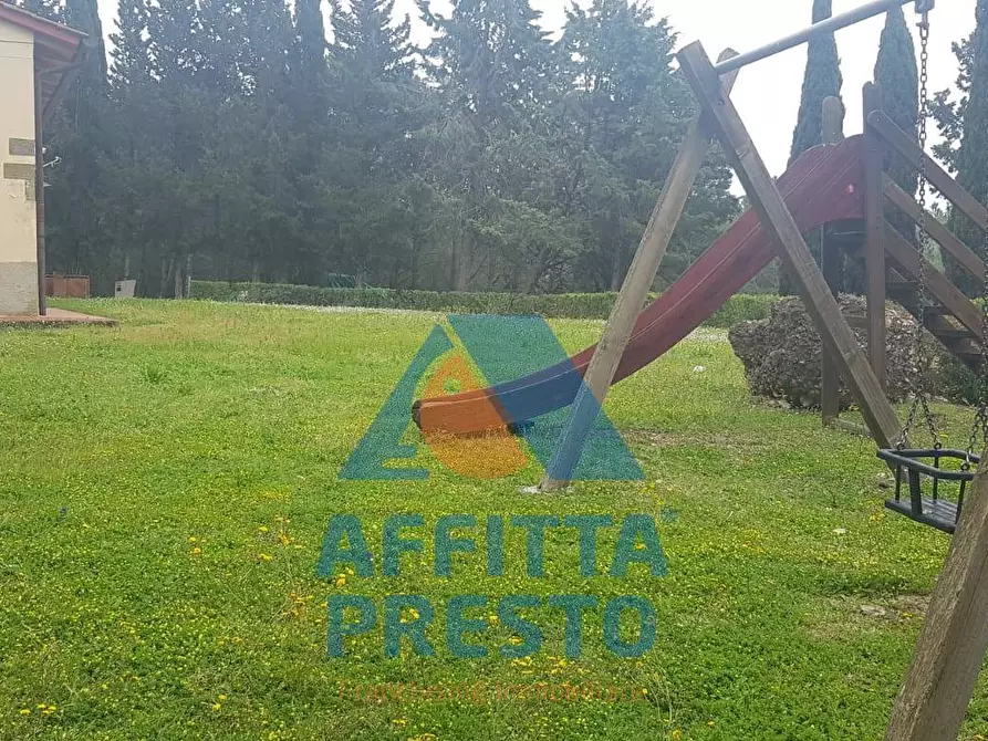 Immagine 11 di Appartamento in affitto  a Montespertoli