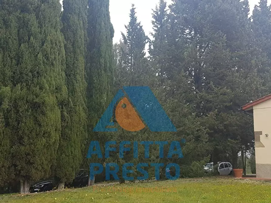 Immagine 14 di Appartamento in affitto  a Montespertoli