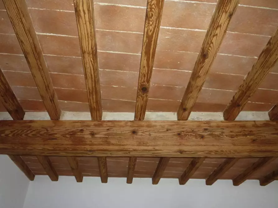 Immagine 7 di Appartamento in affitto  a Cerreto Guidi