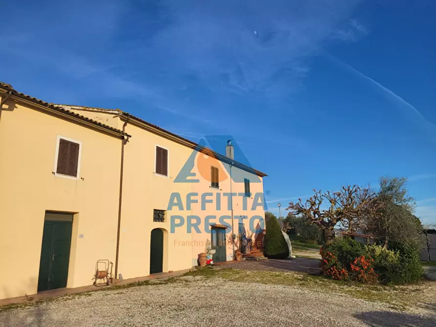 Immagine 3 di Casa indipendente in vendita  a Vinci