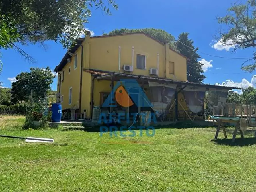 Immagine 4 di Appartamento in affitto  a Empoli