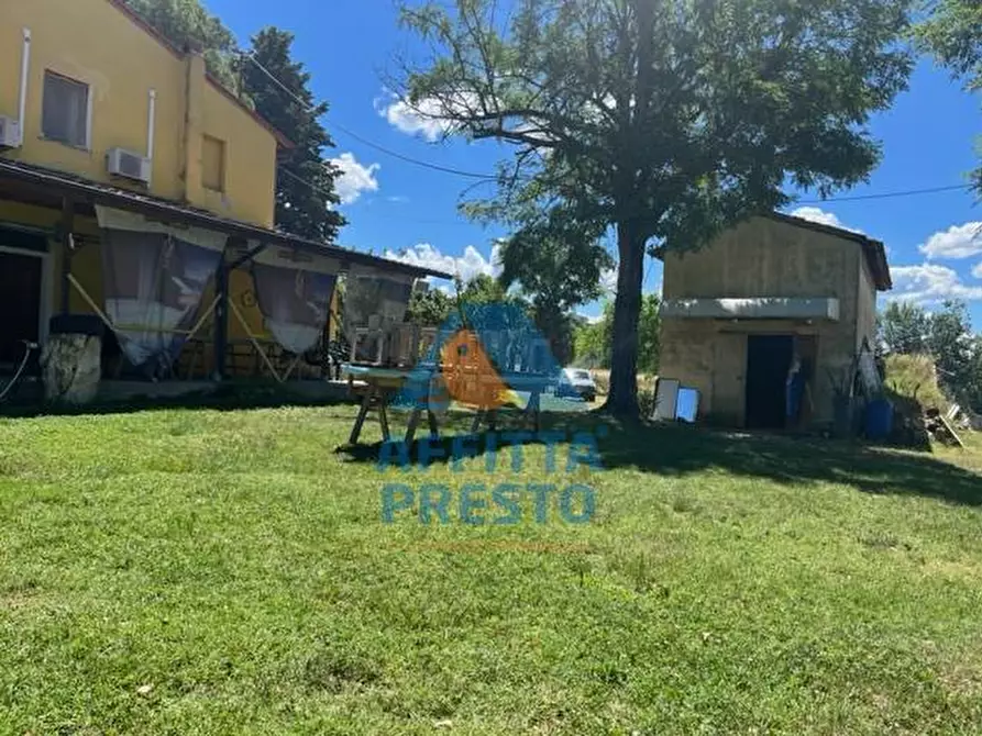 Immagine 5 di Appartamento in affitto  a Empoli