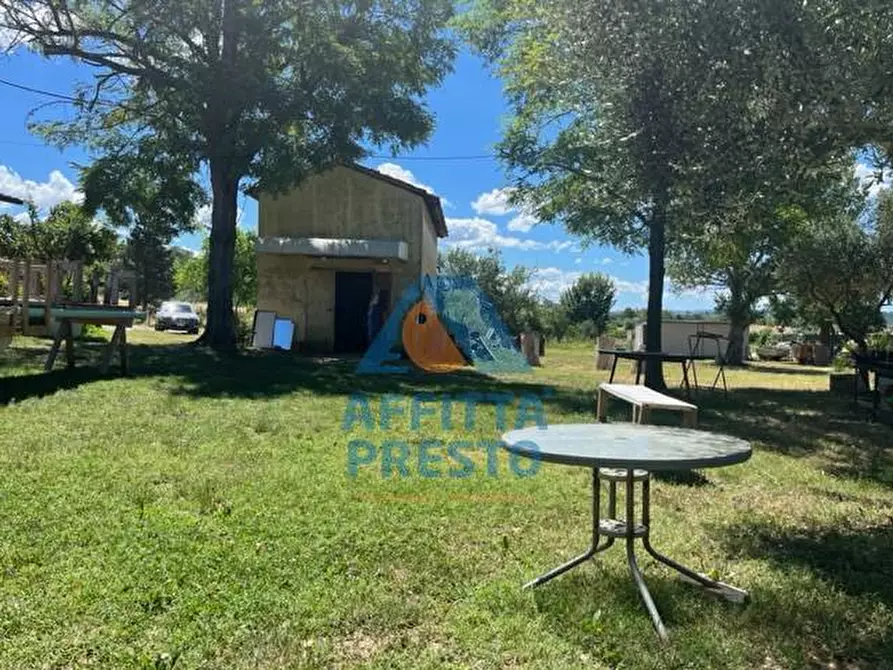 Immagine 2 di Appartamento in affitto  a Empoli