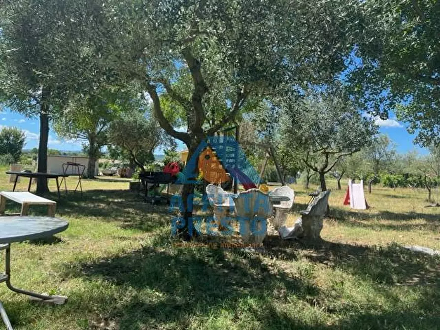 Immagine 6 di Appartamento in affitto  a Empoli