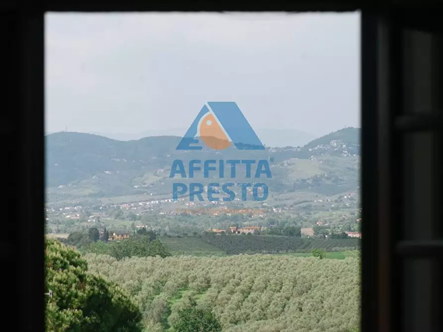 Immagine 9 di Appartamento in affitto  a Cerreto Guidi