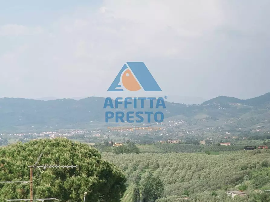 Immagine 10 di Appartamento in affitto  a Cerreto Guidi