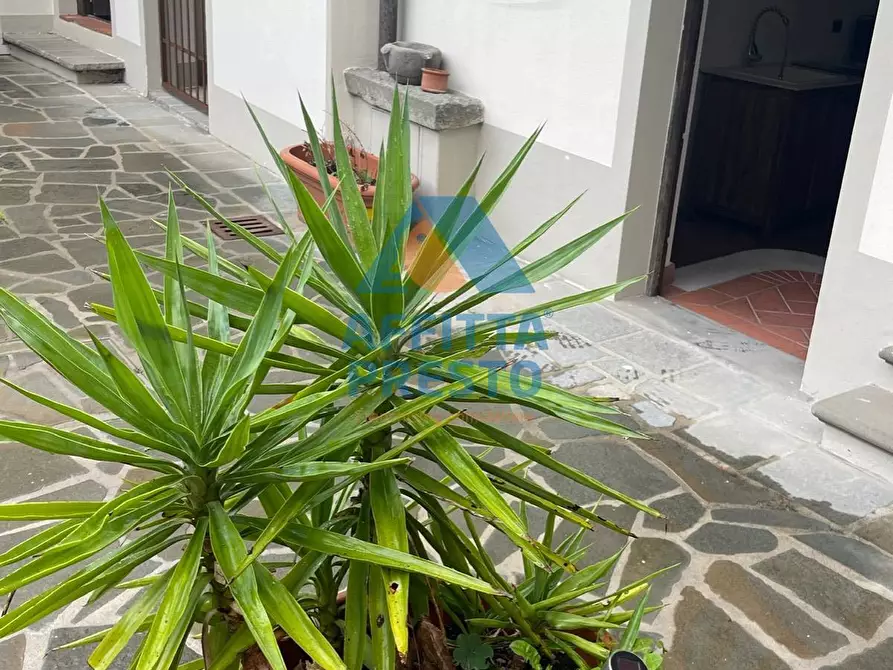 Immagine 7 di Appartamento in affitto  a Cerreto Guidi