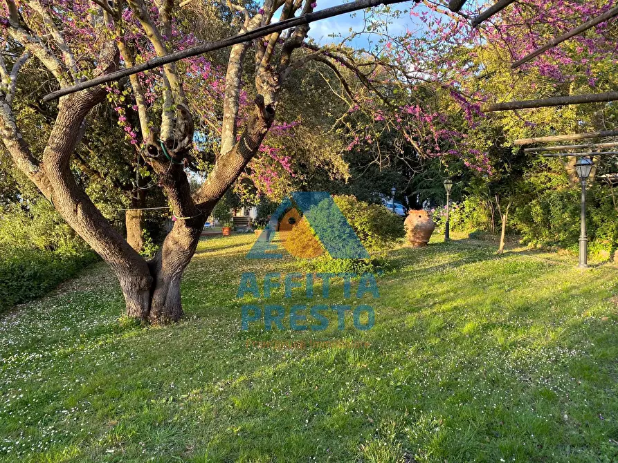 Immagine 7 di Villetta a schiera in vendita  a San Miniato