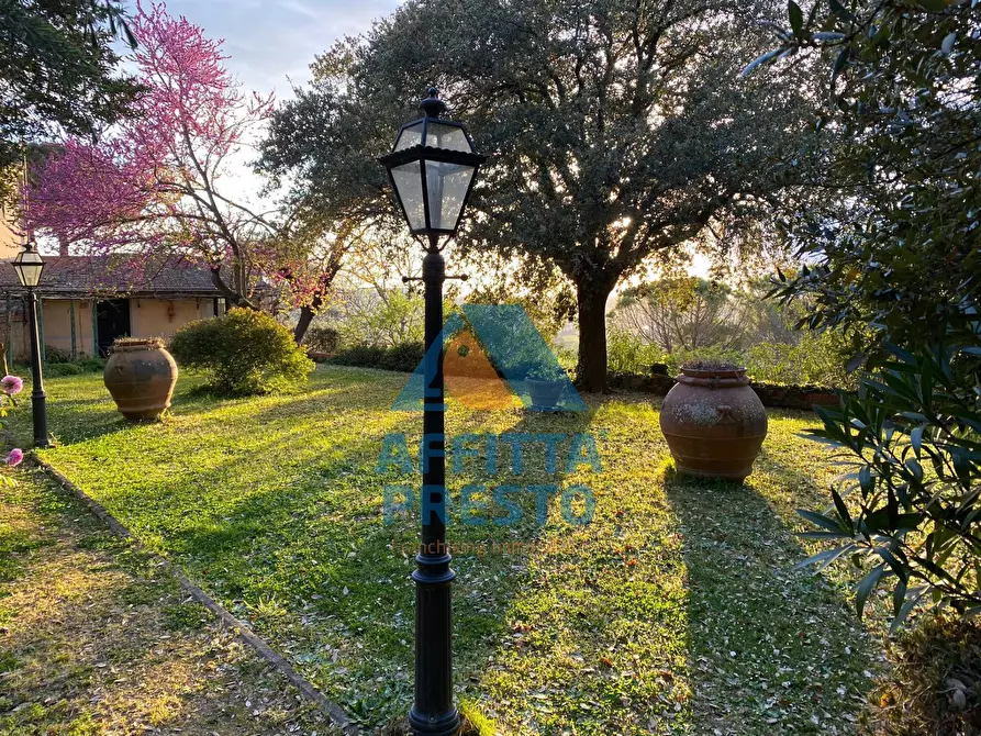 Immagine 8 di Villetta a schiera in vendita  a San Miniato