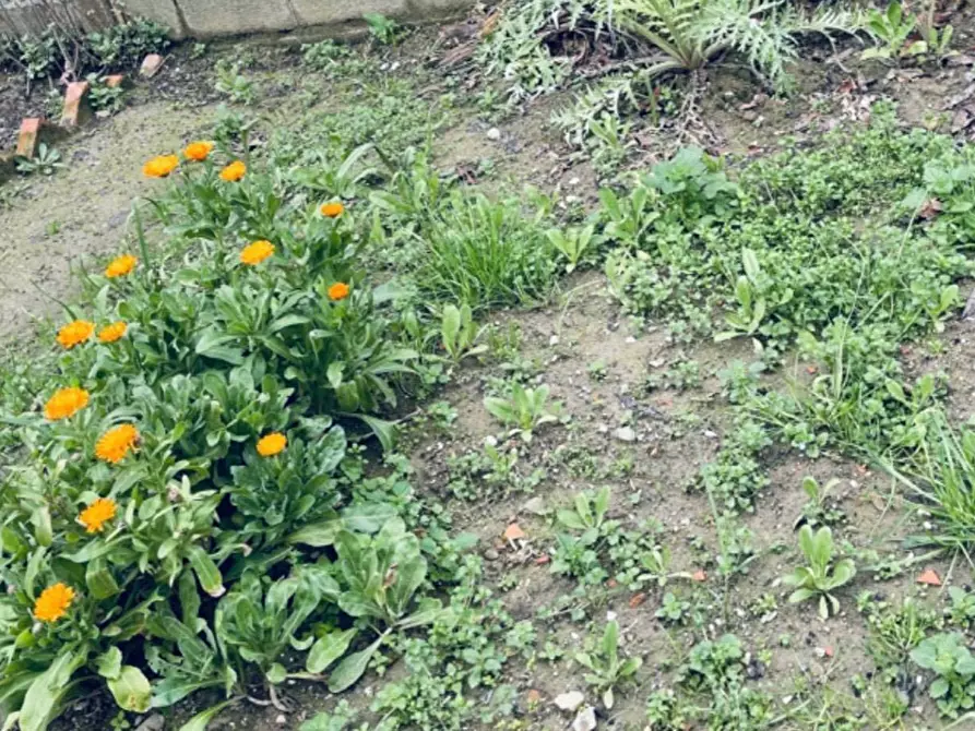 Immagine 9 di Appartamento in affitto  a San Miniato