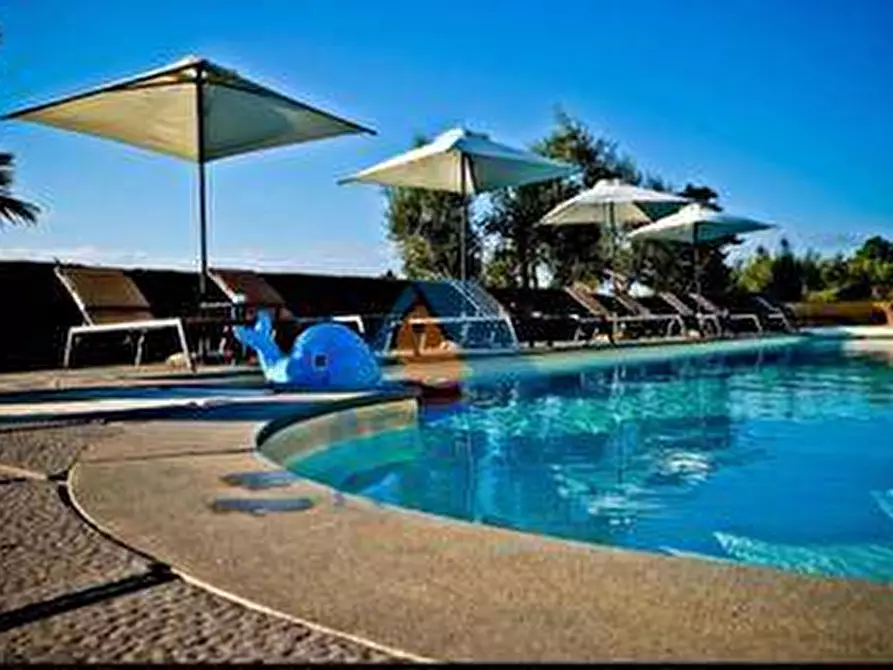 Immagine 2 di Appartamento in vendita  a Palaia