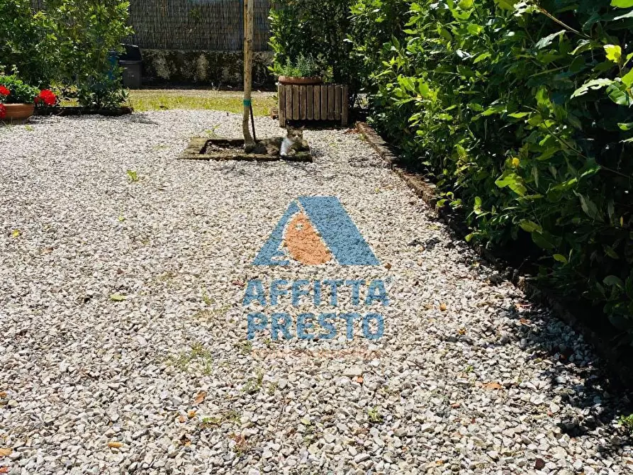 Immagine 13 di Appartamento in affitto  a Pontedera