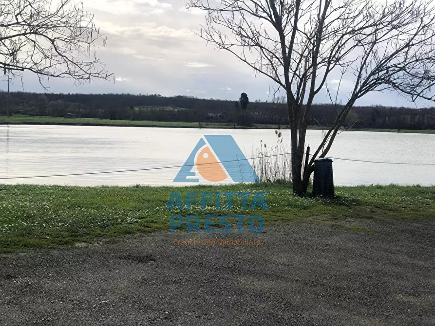 Immagine 20 di Appartamento in affitto  a Pontedera