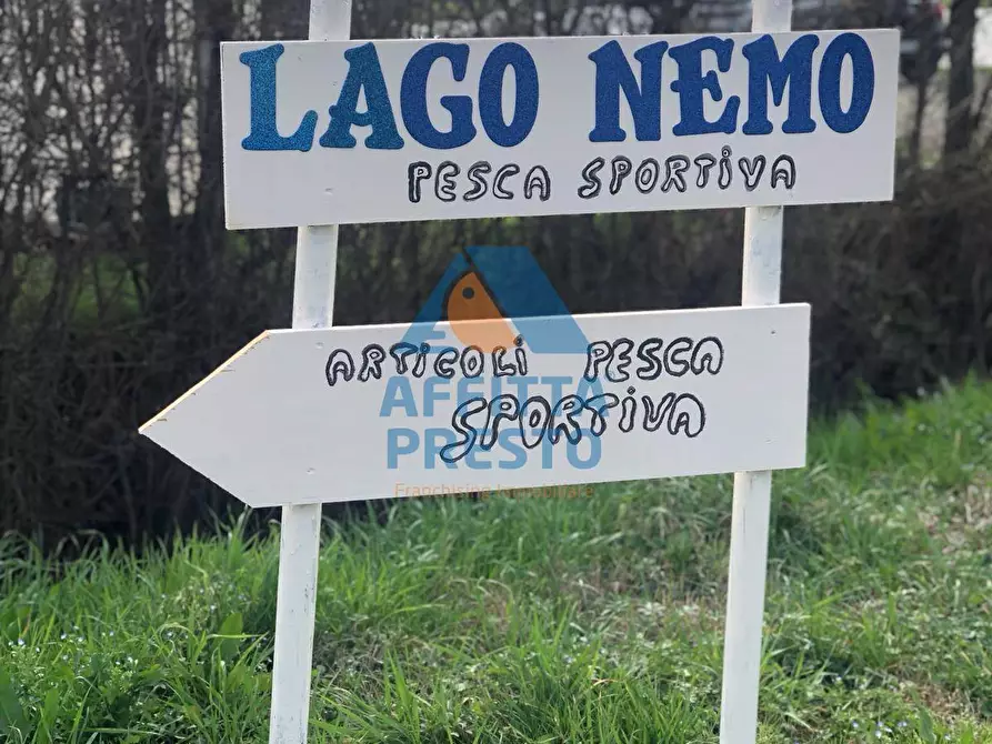 Immagine 23 di Appartamento in affitto  a Pontedera