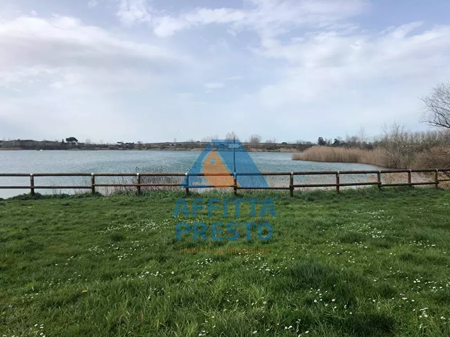 Immagine 26 di Appartamento in affitto  a Pontedera