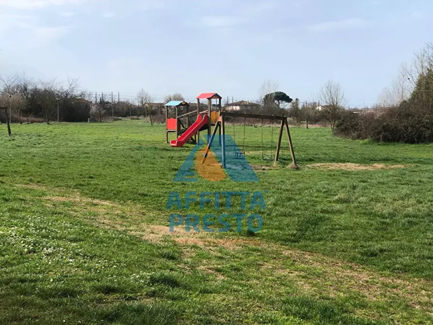 Immagine 29 di Appartamento in affitto  a Pontedera