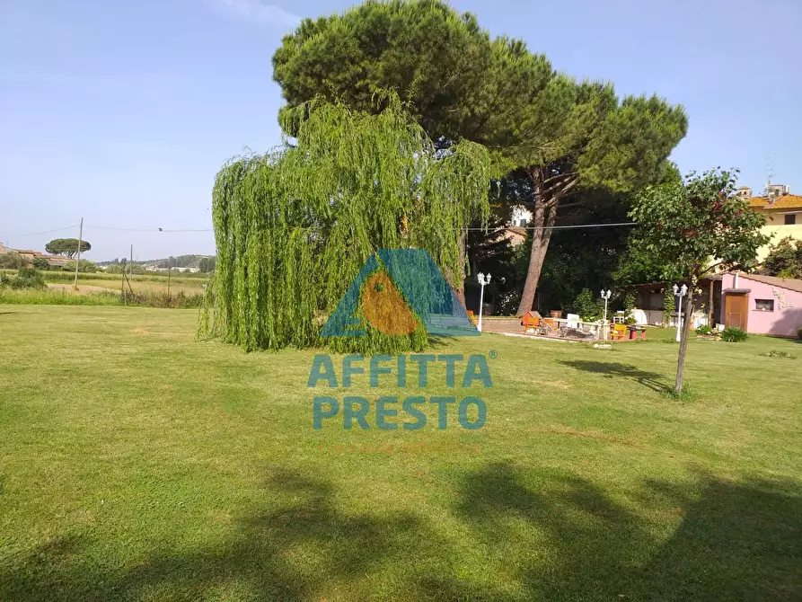 Immagine 12 di Appartamento in affitto  a Empoli