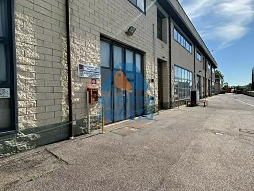 Immagine 20 di Laboratorio in affitto  a Montelupo Fiorentino