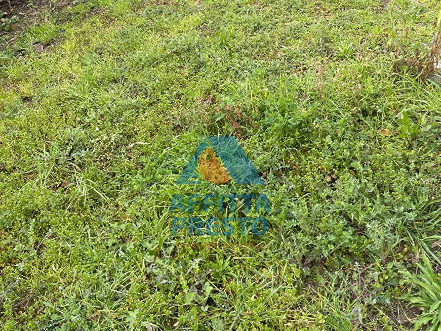 Immagine 6 di Appartamento in vendita  a Cerreto Guidi