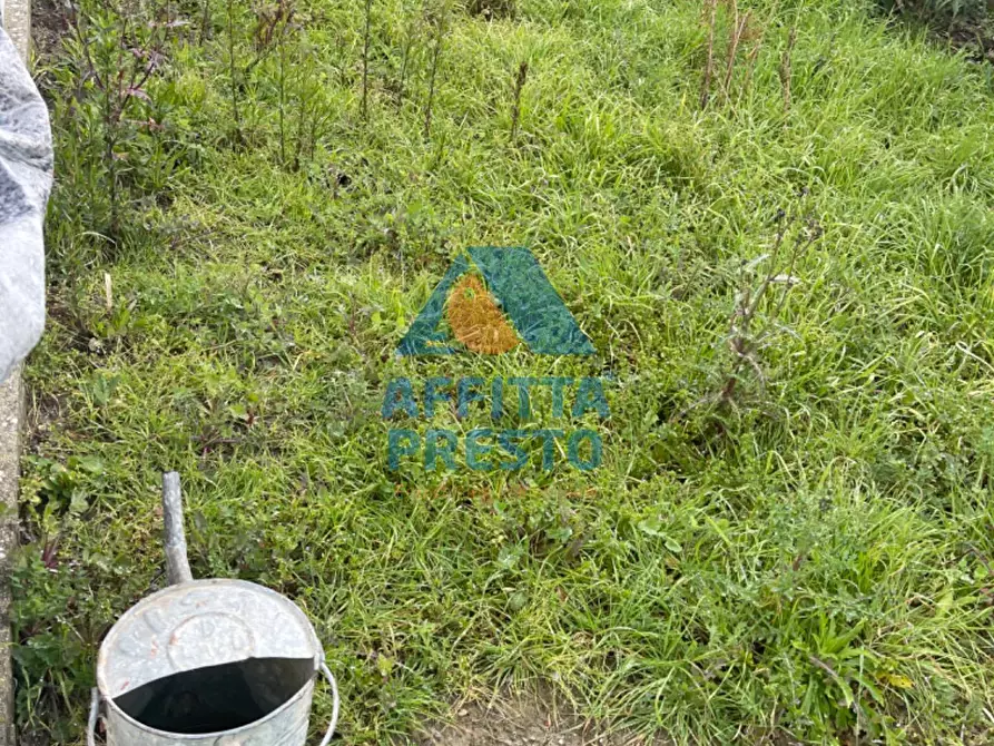 Immagine 7 di Appartamento in vendita  a Cerreto Guidi