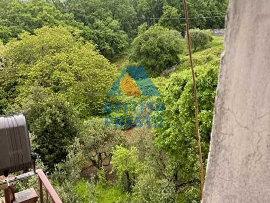 Immagine 10 di Villetta a schiera in affitto  a Lamporecchio