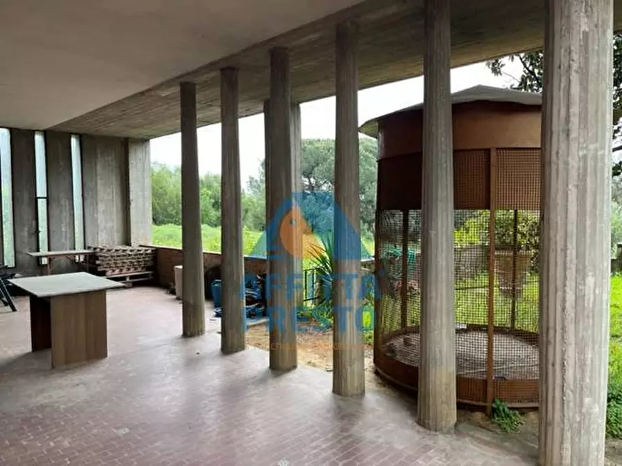 Immagine 3 di Villetta a schiera in affitto  a Lamporecchio