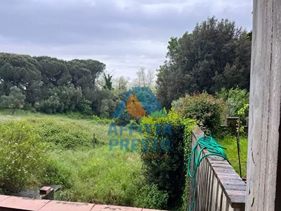 Immagine 21 di Villetta a schiera in affitto  a Lamporecchio