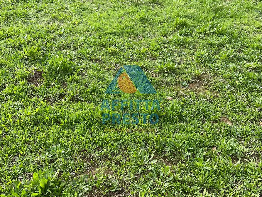 Immagine 5 di Casa indipendente in affitto  a Lamporecchio