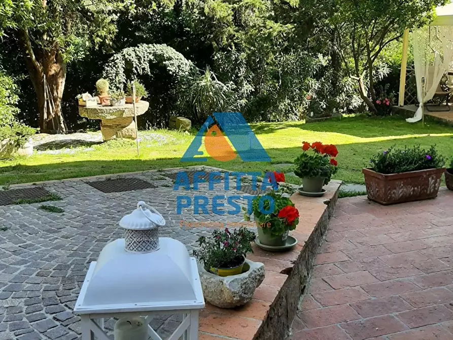 Immagine 2 di Casa indipendente in vendita  a Vinci