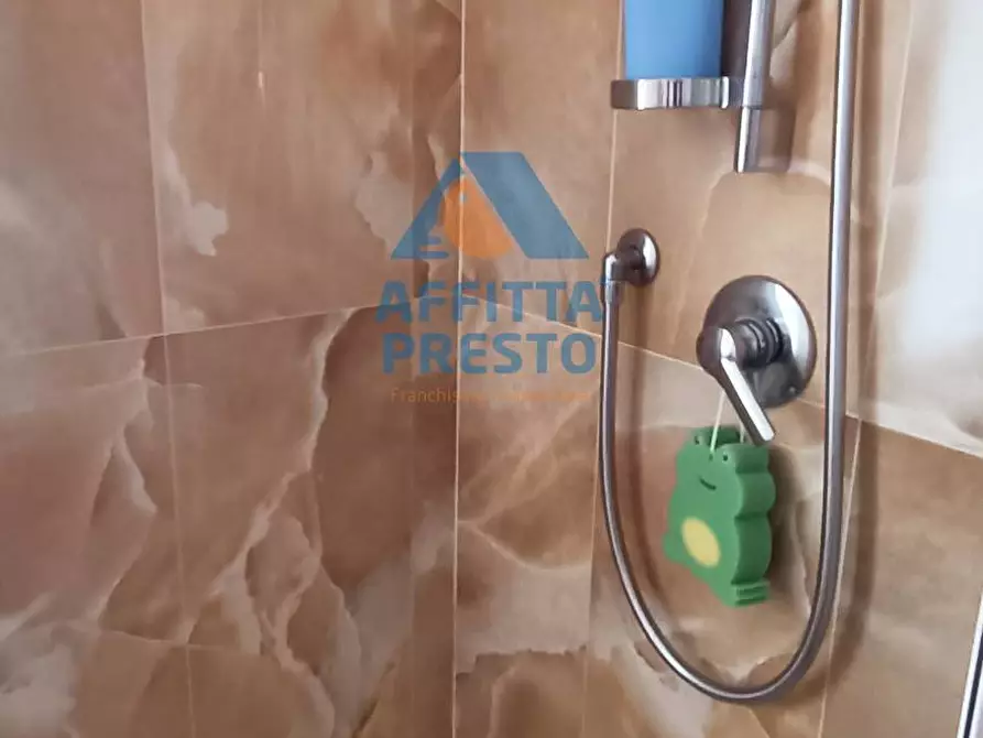 Immagine 10 di Appartamento in affitto  a Vinci